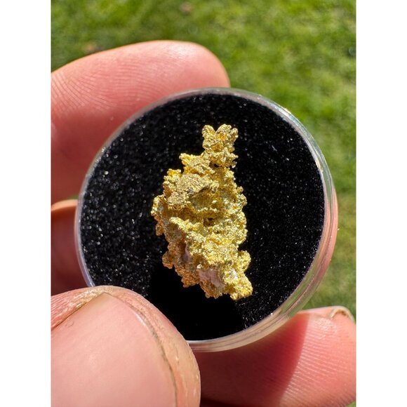 California Gold Crystal - 1.74 grams - Picture 6 of 11